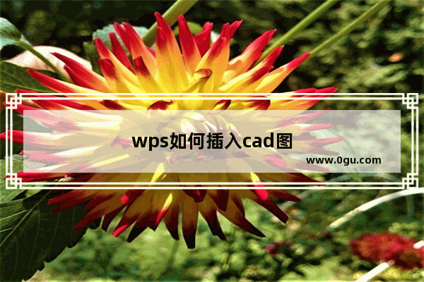 wps如何插入cad图