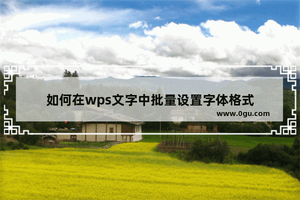 如何在wps文字中批量设置字体格式