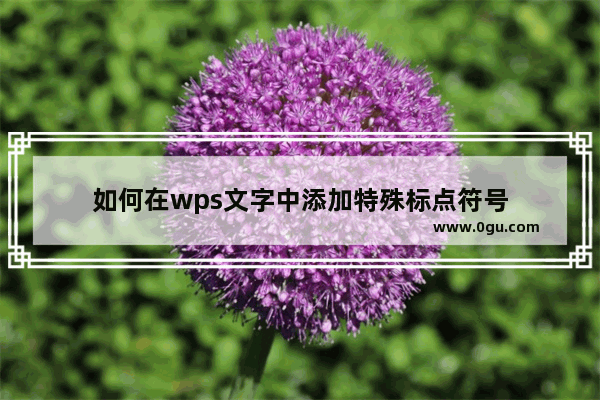 如何在wps文字中添加特殊标点符号