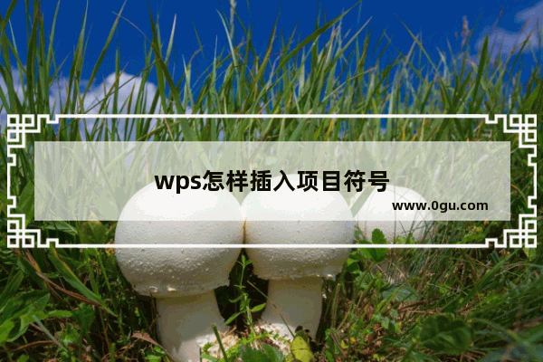 wps怎样插入项目符号