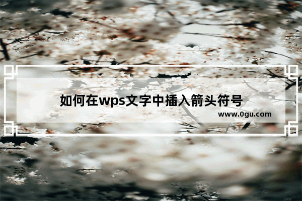 如何在wps文字中插入箭头符号