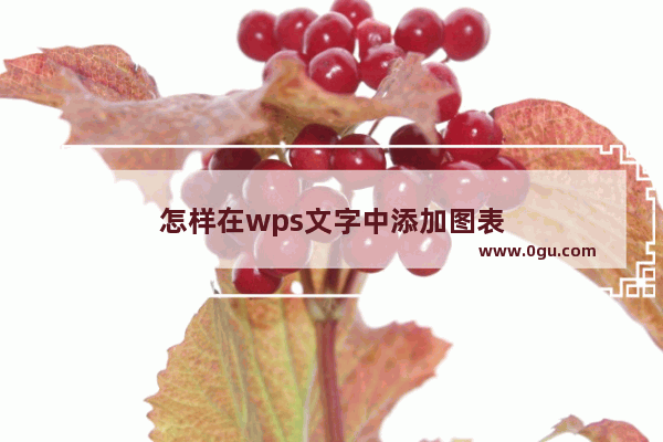 怎样在wps文字中添加图表