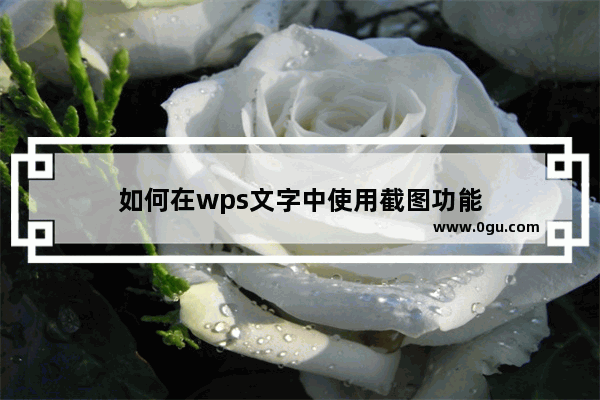 如何在wps文字中使用截图功能