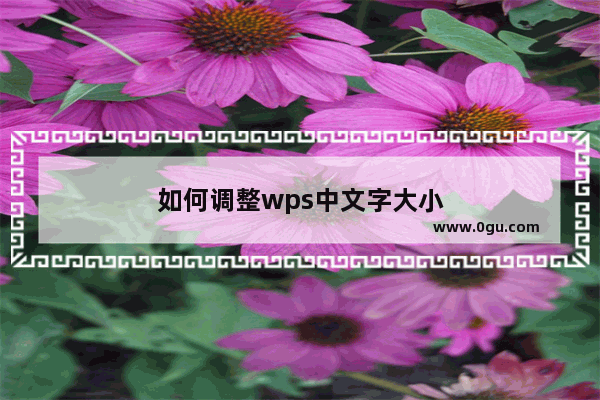 如何调整wps中文字大小