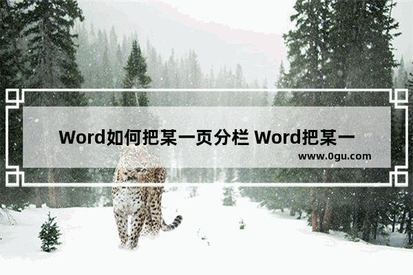 Word如何把某一页分栏 Word把某一页分栏的方法