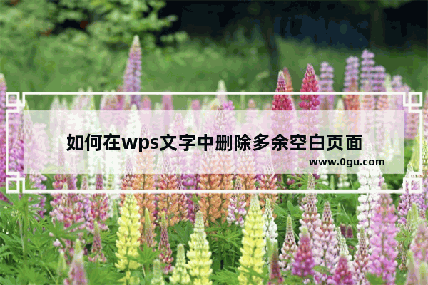 如何在wps文字中删除多余空白页面