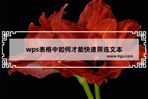 wps表格中如何才能快速筛选文本