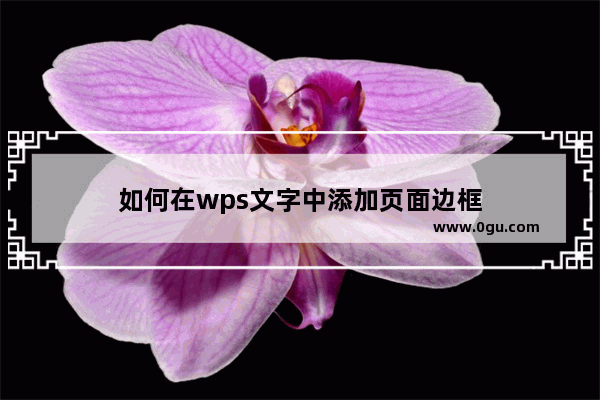 如何在wps文字中添加页面边框