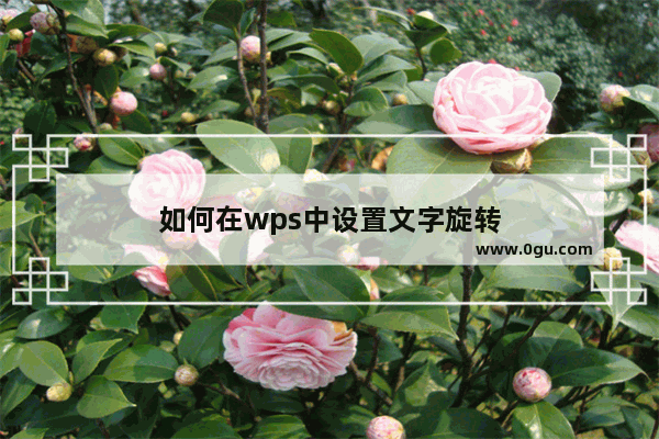 如何在wps中设置文字旋转