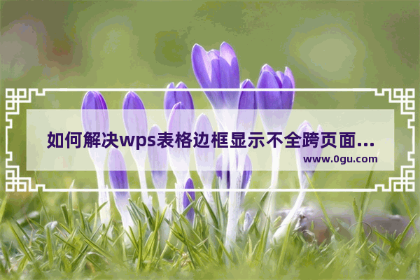 如何解决wps表格边框显示不全跨页面显示