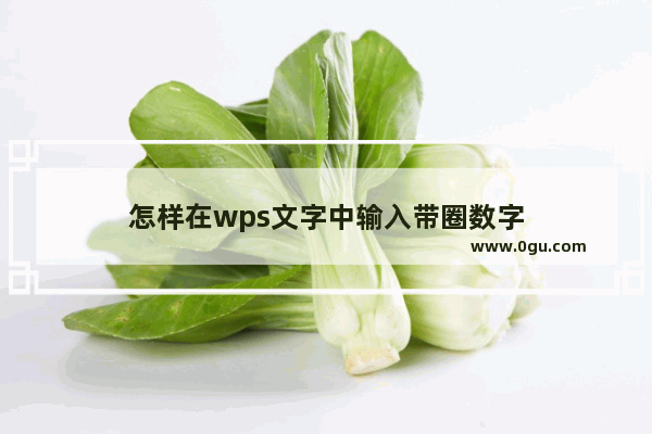 怎样在wps文字中输入带圈数字