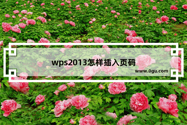 wps2013怎样插入页码