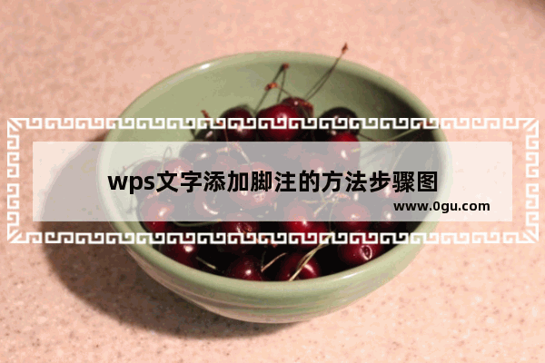 wps文字添加脚注的方法步骤图