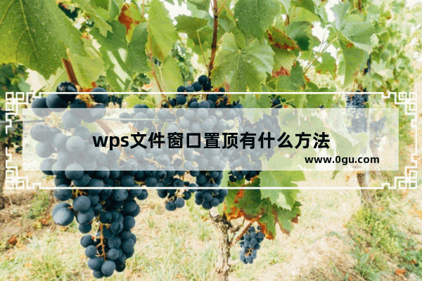 wps文件窗口置顶有什么方法