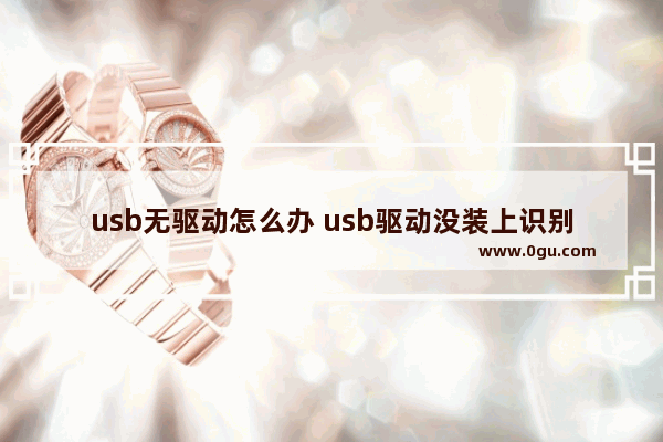 usb无驱动怎么办 usb驱动没装上识别不出u盘怎么办