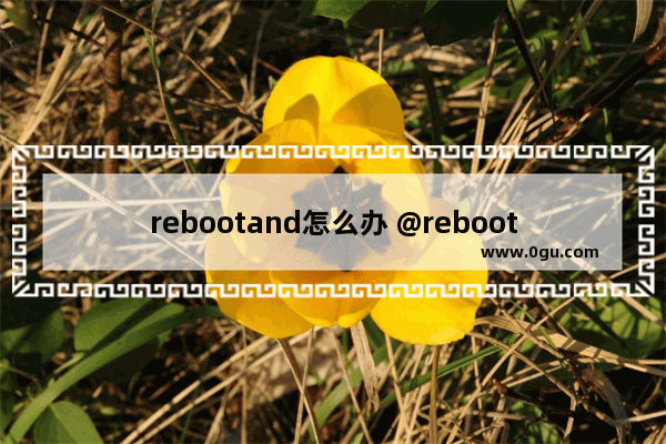 rebootand怎么办 @reboot