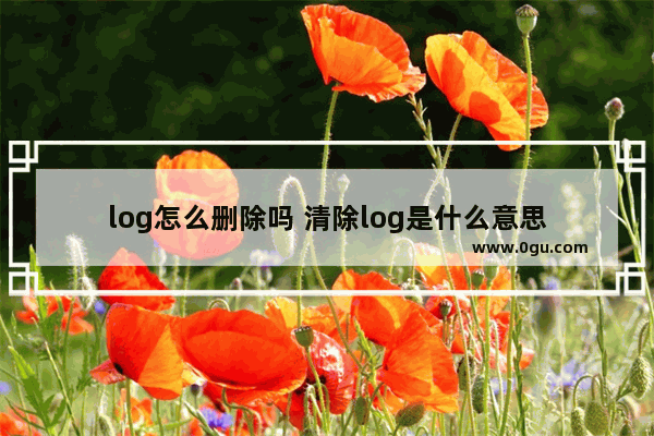 log怎么删除吗 清除log是什么意思