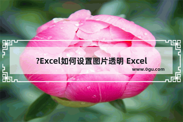 ?Excel如何设置图片透明 Excel中使图片背景变为透明效果的方法教程