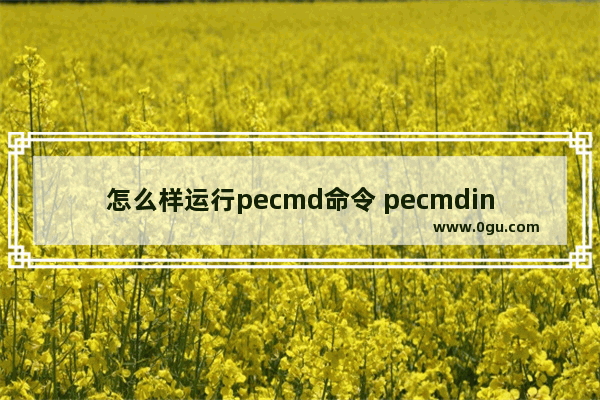 怎么样运行pecmd命令 pecmdini