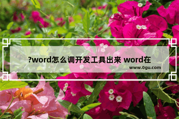 ?word怎么调开发工具出来 word在菜单栏中添加开发者工具的方法