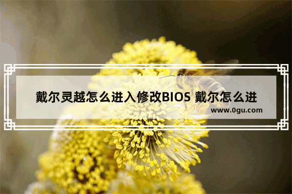 戴尔灵越怎么进入修改BIOS 戴尔怎么进入系统修复