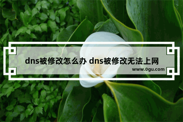 dns被修改怎么办 dns被修改无法上网