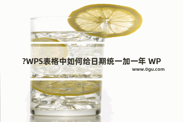 ?WPS表格中如何给日期统一加一年 WPS Excel日期增加一年的方法教程