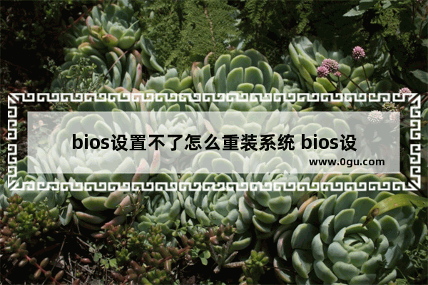 bios设置不了怎么重装系统 bios设置改不了