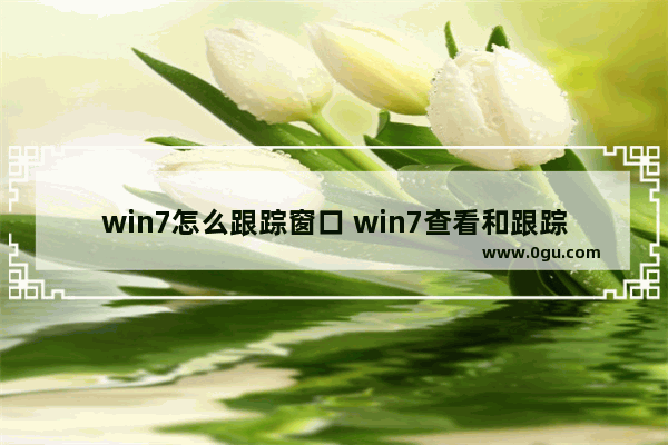 win7怎么跟踪窗口 win7查看和跟踪下载项