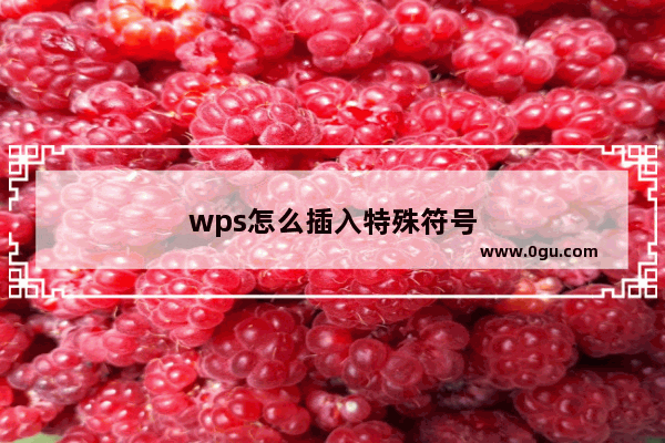 wps怎么插入特殊符号