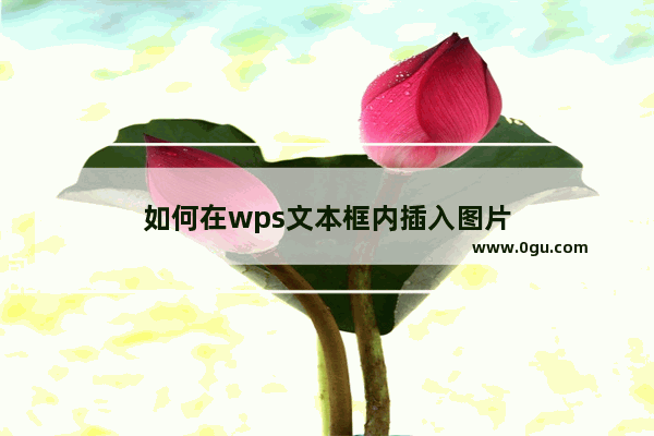 如何在wps文本框内插入图片