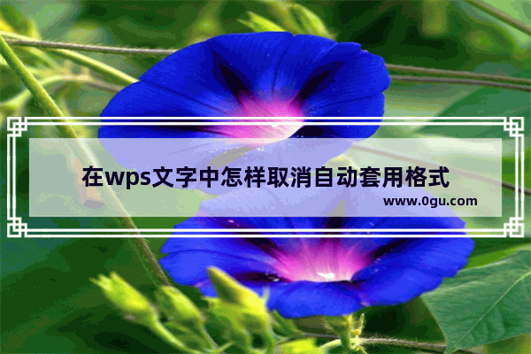 在wps文字中怎样取消自动套用格式