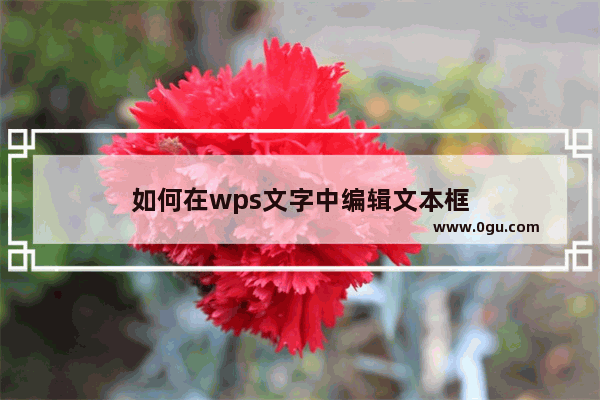 如何在wps文字中编辑文本框