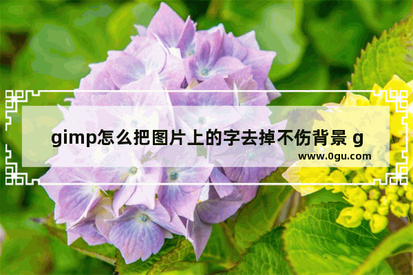 gimp怎么把图片上的字去掉不伤背景 gimp去掉图片上原有的文字的方法