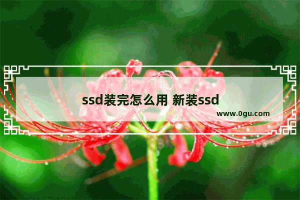 ssd装完怎么用 新装ssd