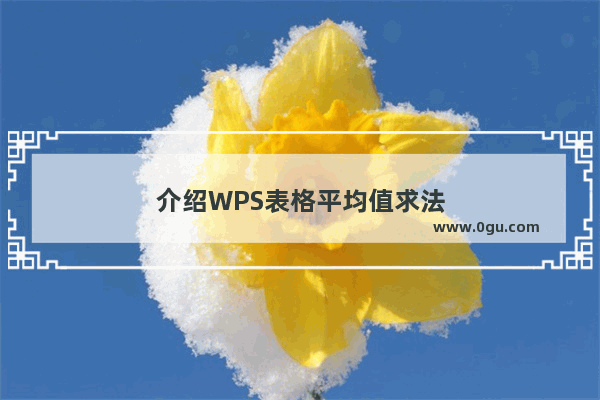 介绍WPS表格平均值求法