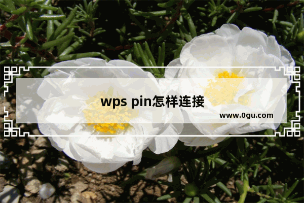 wps pin怎样连接