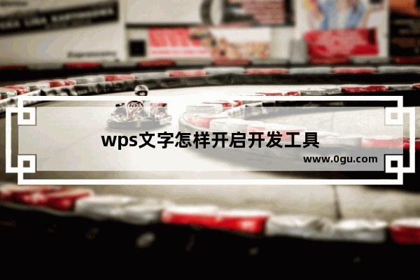 wps文字怎样开启开发工具