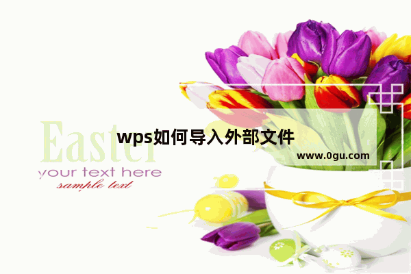 wps如何导入外部文件