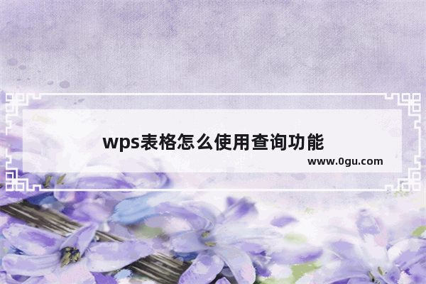 wps表格怎么使用查询功能