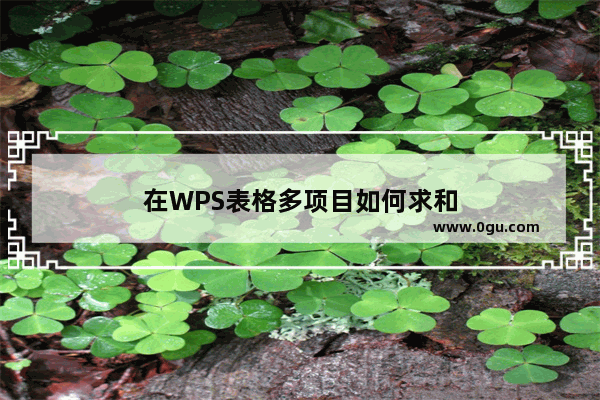 在WPS表格多项目如何求和