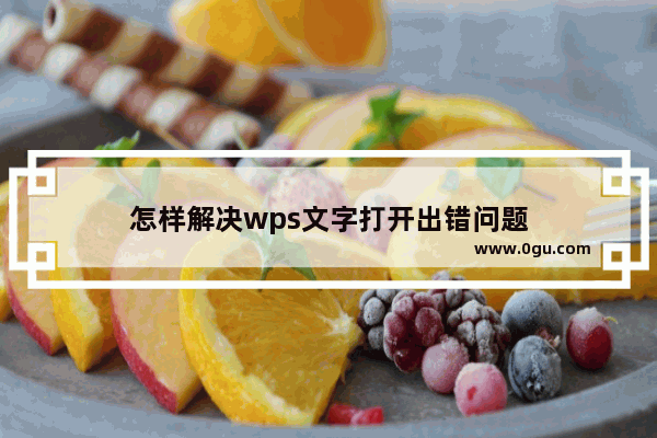 怎样解决wps文字打开出错问题