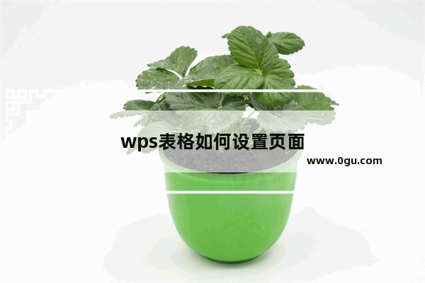 wps表格如何设置页面