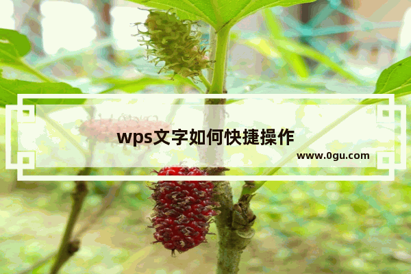 wps文字如何快捷操作