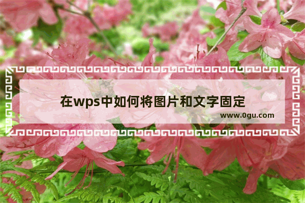 在wps中如何将图片和文字固定