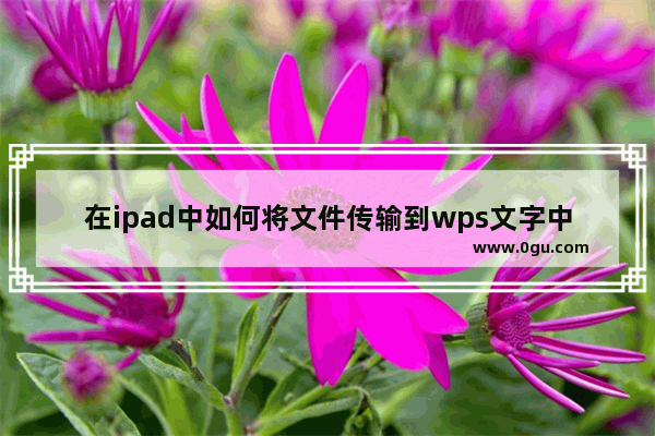 在ipad中如何将文件传输到wps文字中