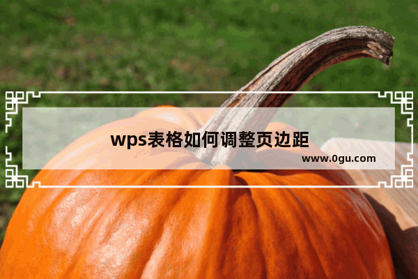 wps表格如何调整页边距