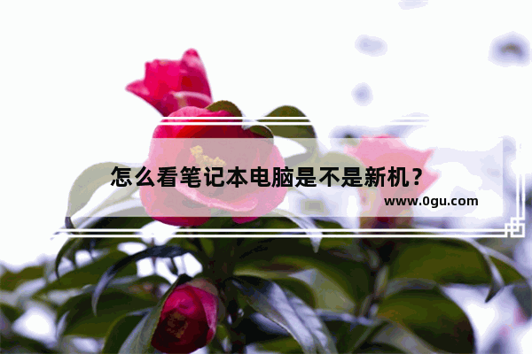 怎么看笔记本电脑是不是新机？