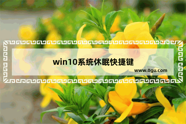 win10系统休眠快捷键