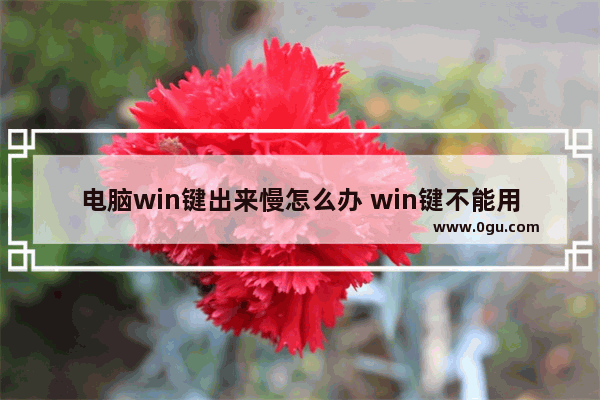 电脑win键出来慢怎么办 win键不能用了